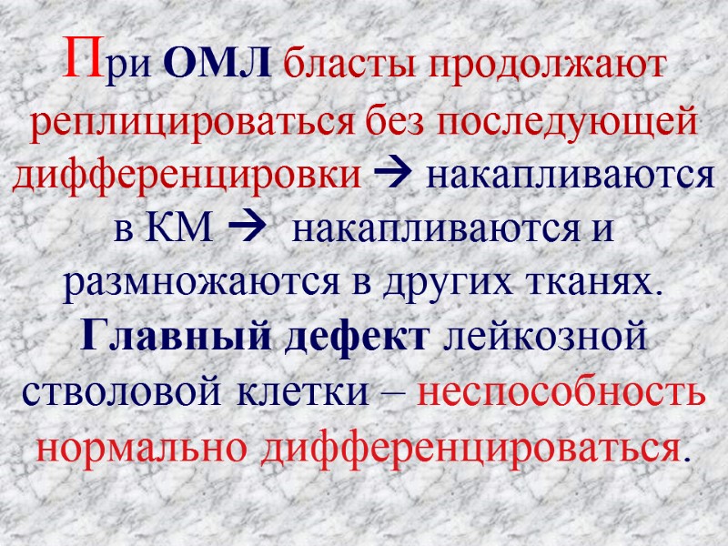 При ОМЛ бласты продолжают реплицироваться без последующей дифференцировки  накапливаются в КМ  